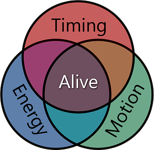 Aliveness diagram. Aliveness is made up of the three parts Timing, Energy and Motion. You need all three in training to fight successfully.
